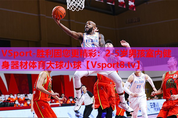 VSport-勝利因您更精彩：2-5歲男孩室內健身器材體育大球小球